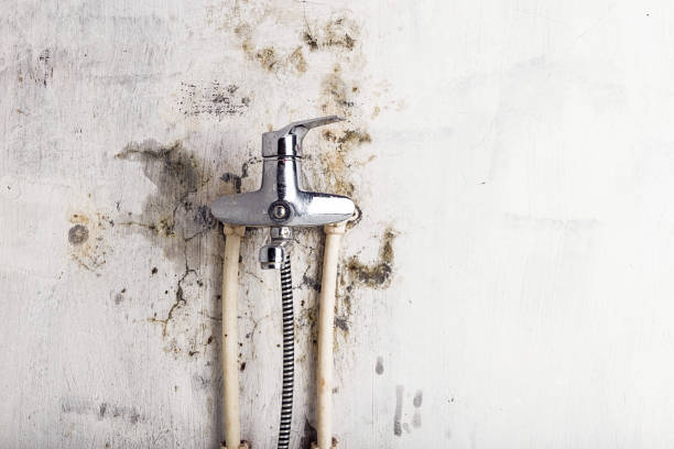 Best Residential Mold Remediation in Flagtown, NJ