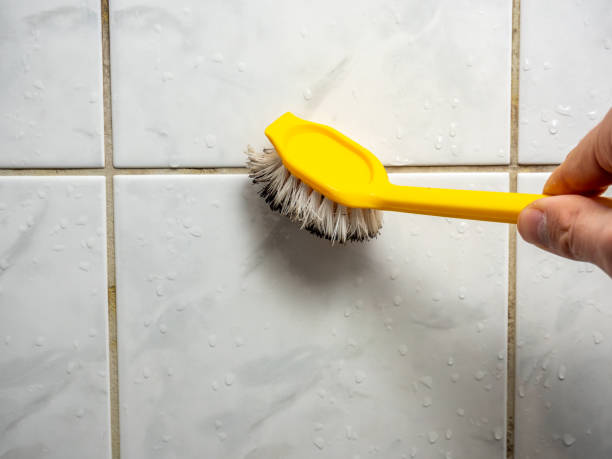 Best Health and Safety Mold Remediation in Flagtown, NJ