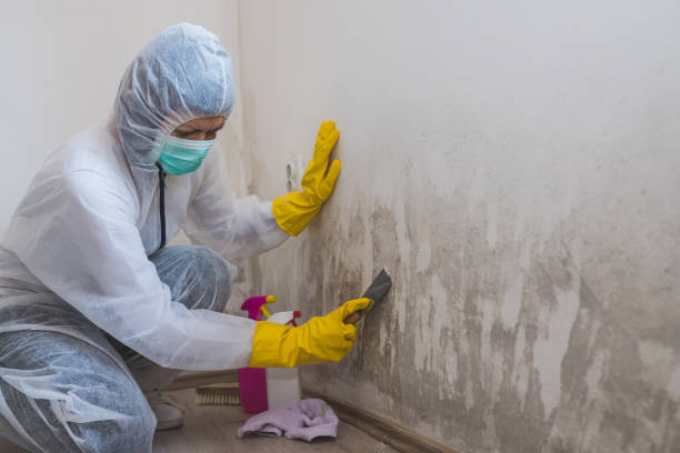 Best Industrial Mold Remediation in Flagtown, NJ